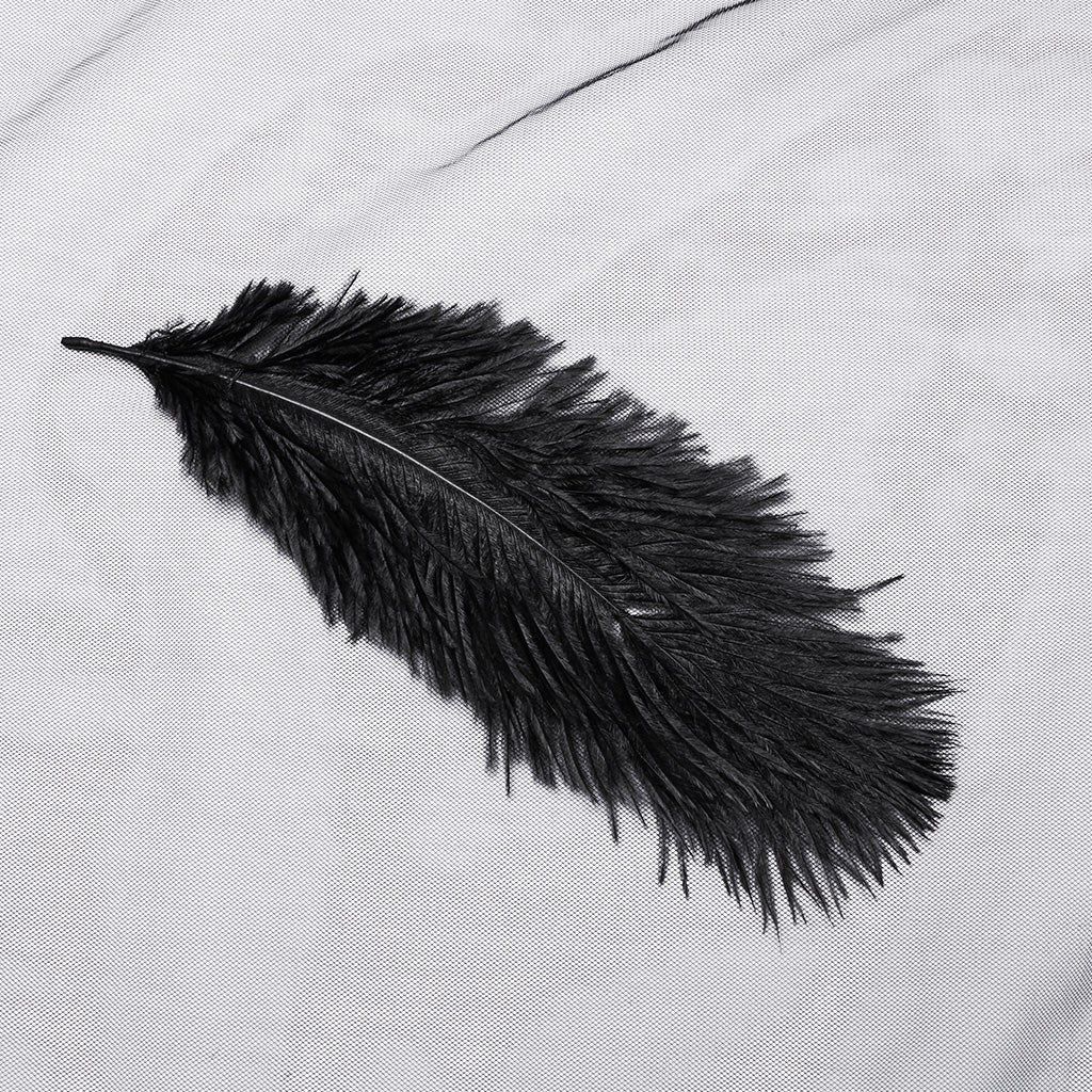 WS-731FSF Gothic Feathered Elegance Sheer Long Black Veil Dress - Image 8